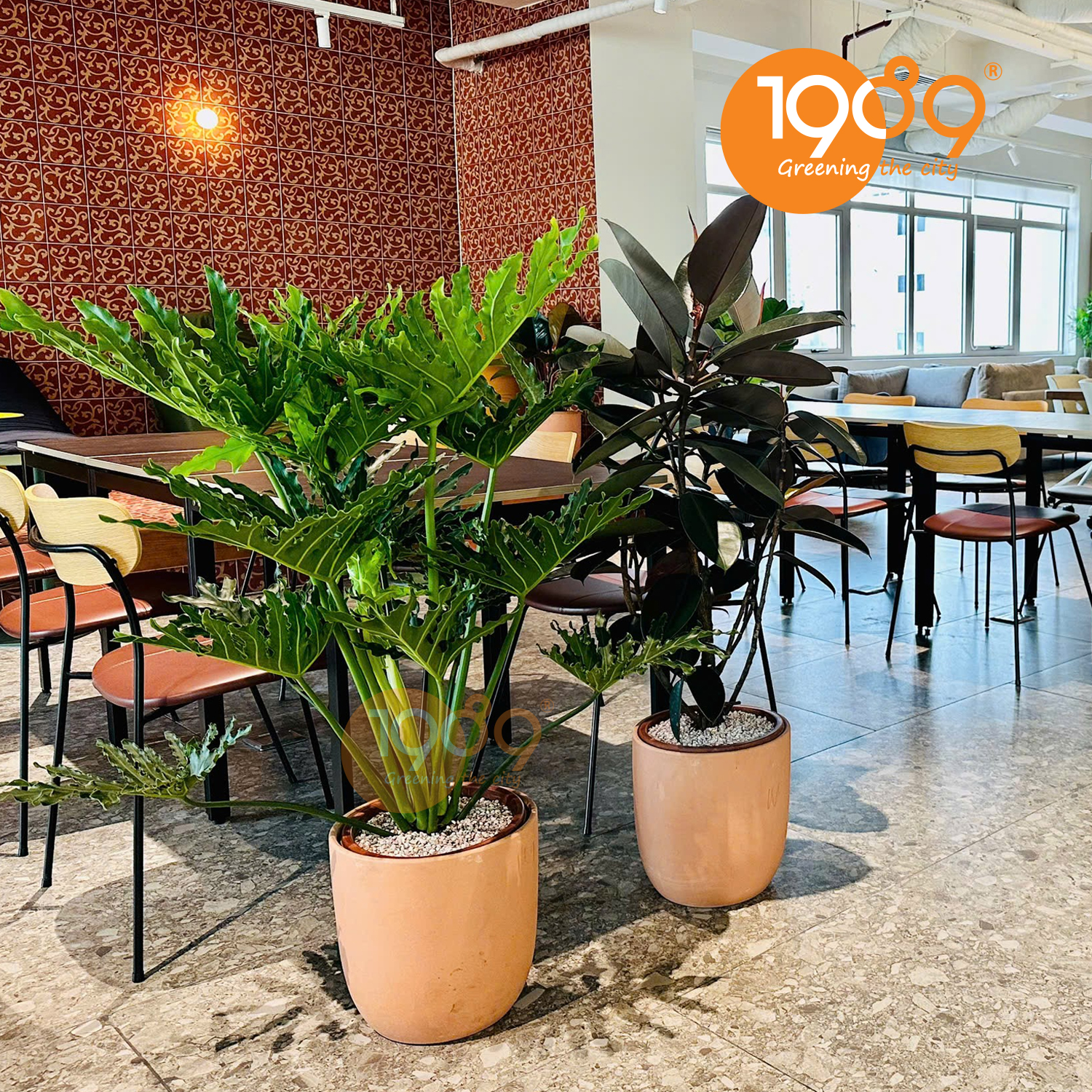 Chạm Tới Vượng Khí: Chọn Cây Để Sàn Theo Mệnh Để Hút Tài Lộc