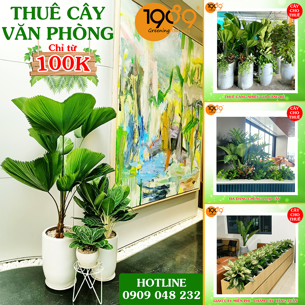 bảng giá  Dịch Vụ Thuê Cây Xanh Văn Phòng