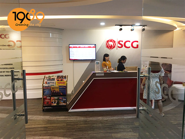 thuê cây xanh văn phòng scg