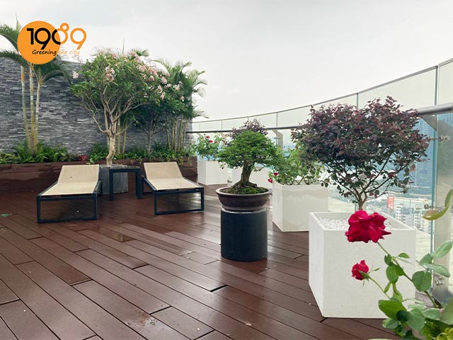 thue cay xanh van phong tphcm