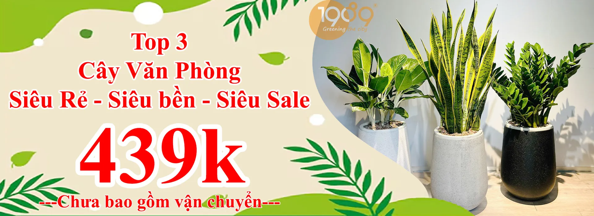 Top Cây Xanh Văn Phòng Giá Rẻ Sài Gòn