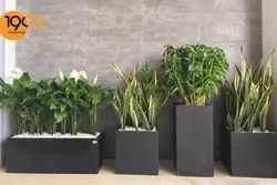 Chậu Xi Măng Đá Mài Đẹp Giá Thành Rẻ Bất Ngờ