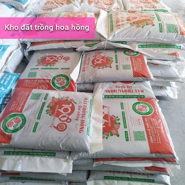 Đất Trồng Hoa Hồng