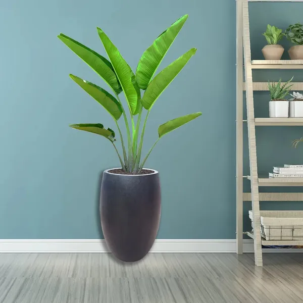 Chậu Đá Mài Bầu 37x60