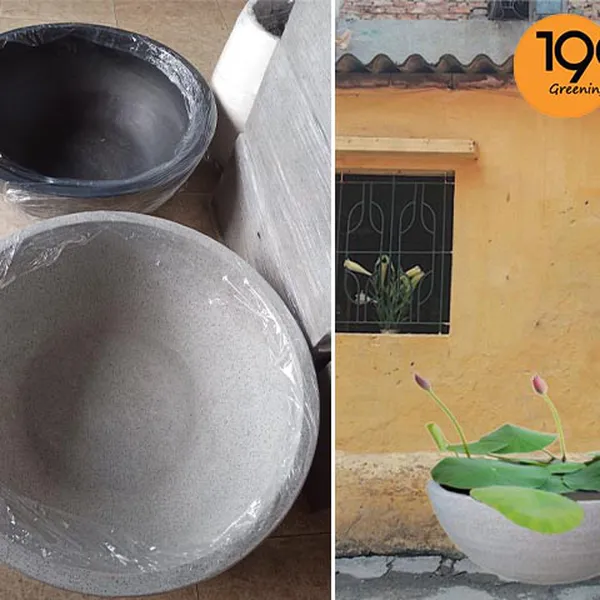 Chậu Đá Mài Tròn Lotus