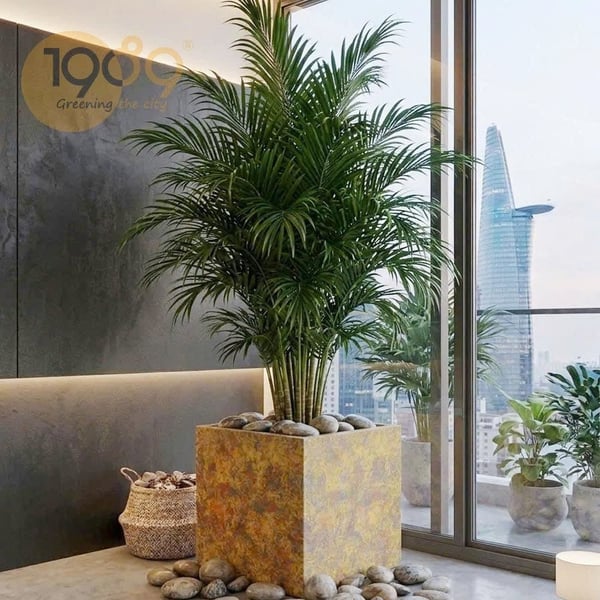 Chậu Vuông Vân Loang 40cm