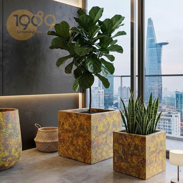 Chậu Vuông Vân Loang 40cm