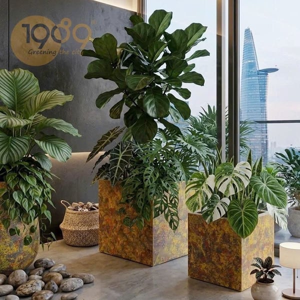 Chậu Vuông Vân Loang 40cm