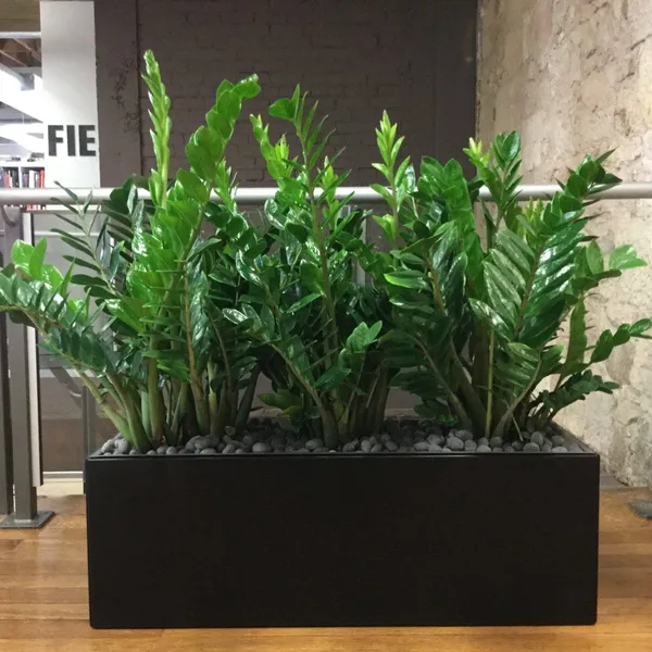 Chậu Đá Mài Chữ Nhật 40x40x80cm