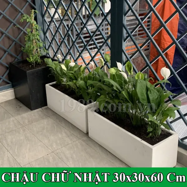 Chậu Đá Mài Chữ Nhật 30x30x60cm