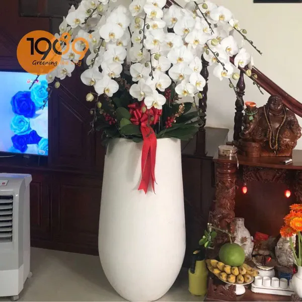Chậu Đá Mài Tròn Lớn Hình Giọt Nước 44x100cm