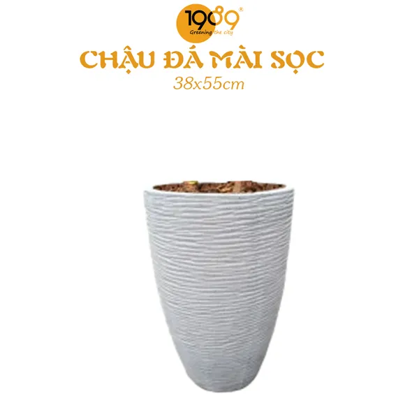 Chậu Xi Măng Sọc 38x55cm
