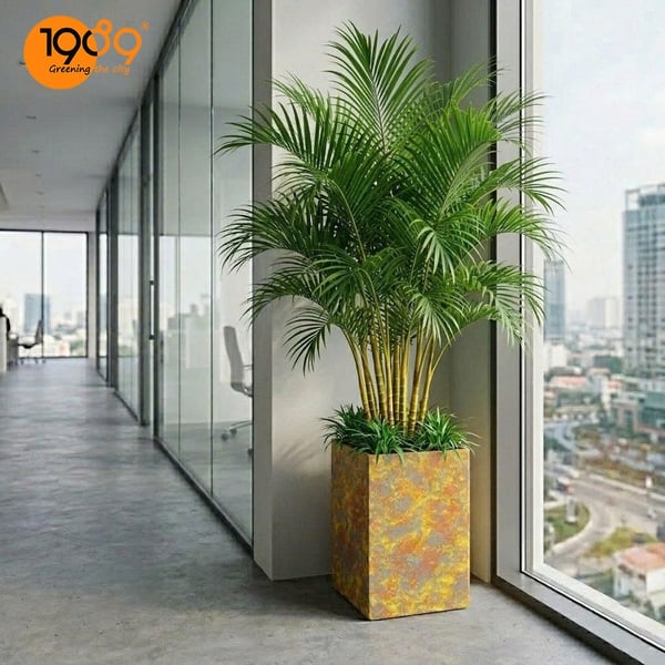 Chậu Vuông Trụ Vân Loang 40*60cm