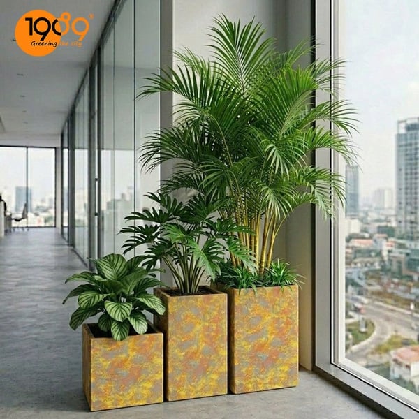 Chậu Vuông Trụ Vân Loang 40*60cm