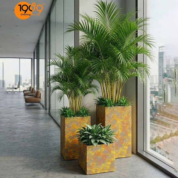 Chậu Vuông Trụ Vân Loang 40*60cm