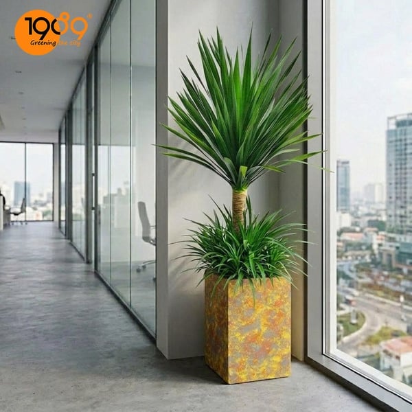 Chậu Vuông Trụ Vân Loang 40*60cm