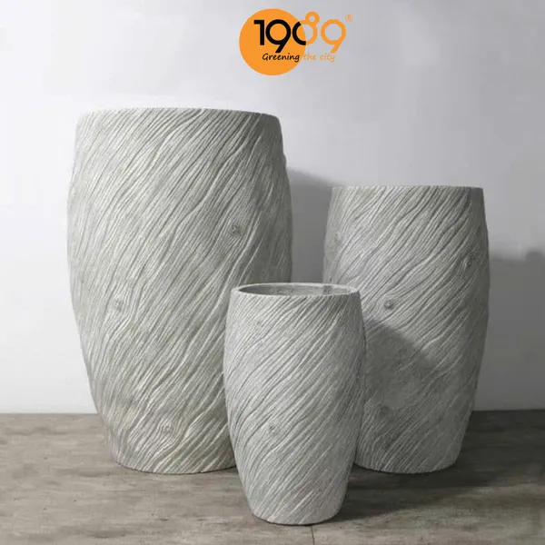 Chậu Xi Măng Gốc Cây