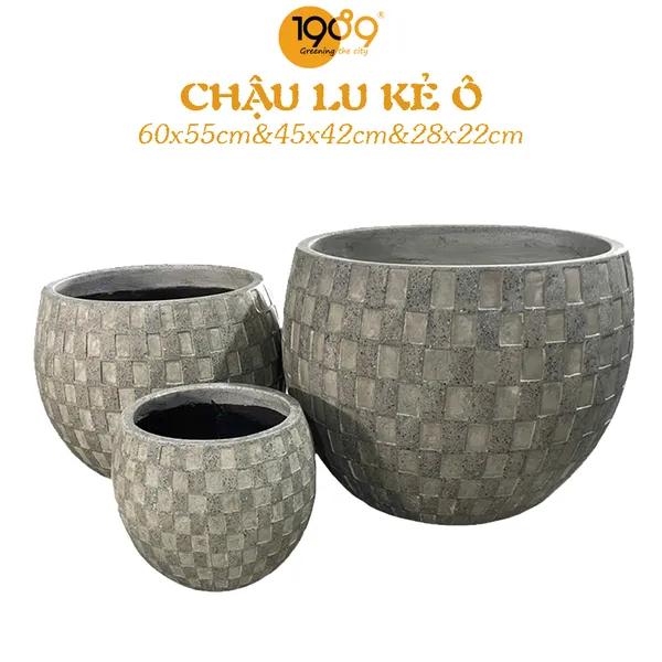 Chậu XM Lu Kẻ Ô