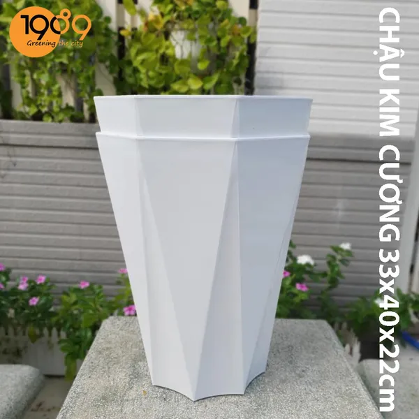 Chậu Nhựa Trồng Cây Bát Giác