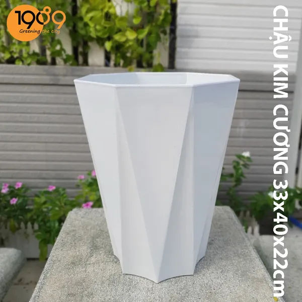 Chậu Nhựa Trồng Cây Bát Giác
