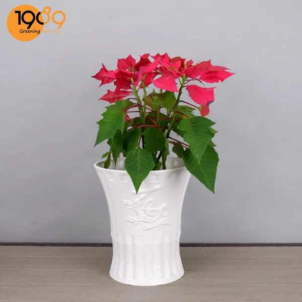 Chậu Nhựa Phúc Lộc Thọ