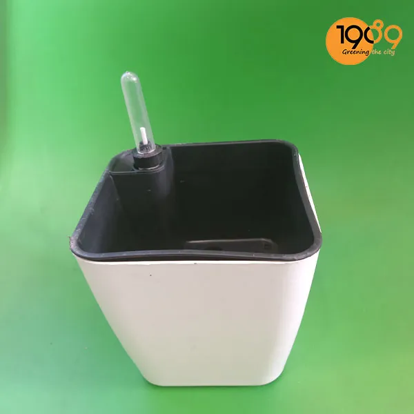 Chậu Thông Minh Tự Tưới Vuông Bầu