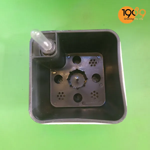 Chậu Thông Minh Tự Tưới Vuông Bầu