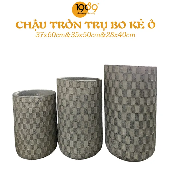 Chậu Tròn Trụ Kẻ Ô
