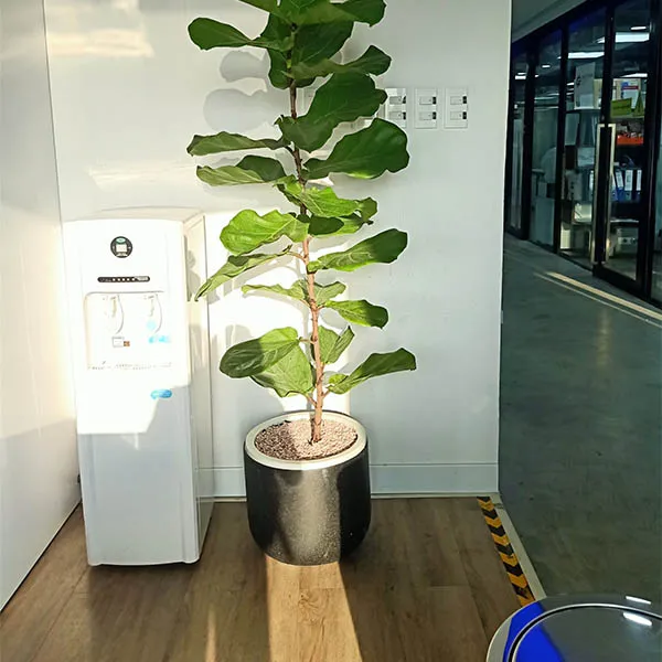Chậu Đá Mài Remy