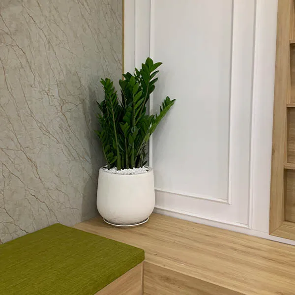 Chậu Đá Mài Remy