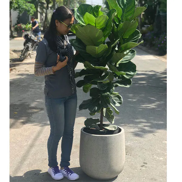 Chậu Đá Mài Remy