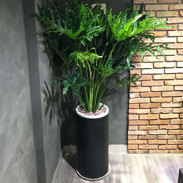 Chậu Đá Mài Tròn Trụ 30x60cm