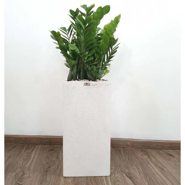 Chậu Đá Mài Trụ Vuông 30x60cm
