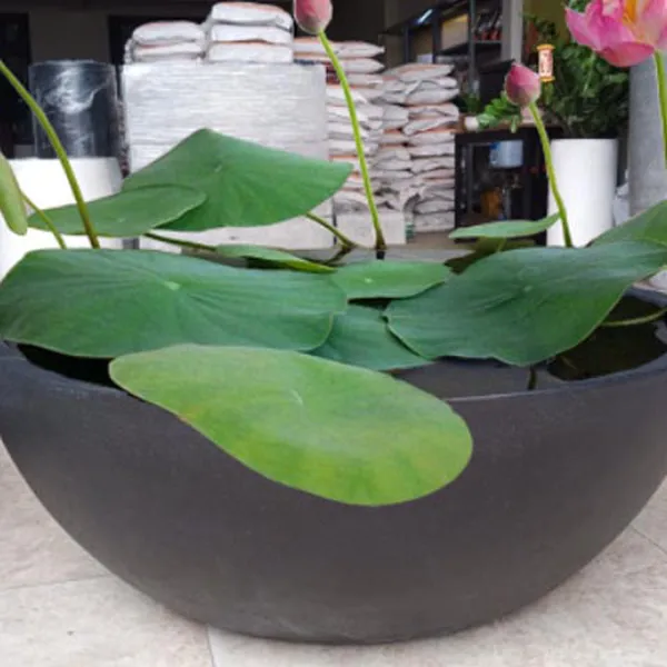 Chậu Đá Mài Tròn Lotus