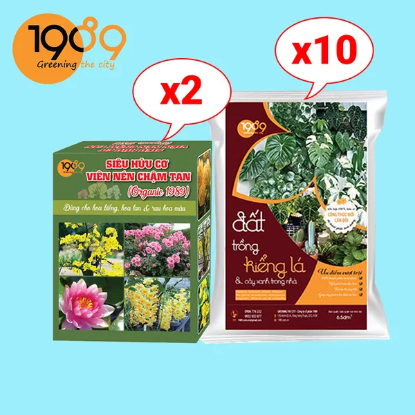 Combo Đất Trồng Kiểng Lá