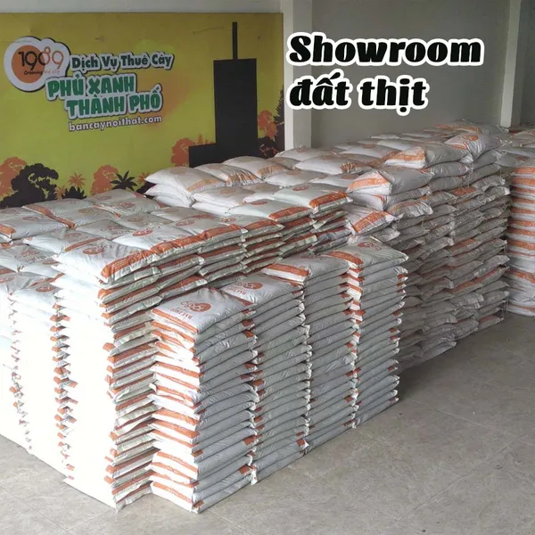 Combo 50 bao Đất Thịt Trồng Cây