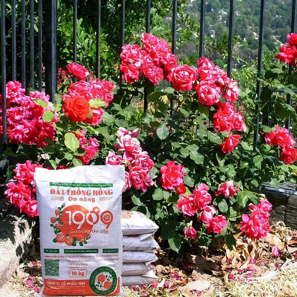 Đất Trồng Hoa Hồng 10Kg