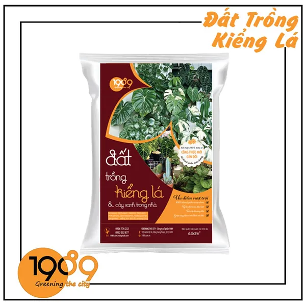 Đất Trồng Sen Đá