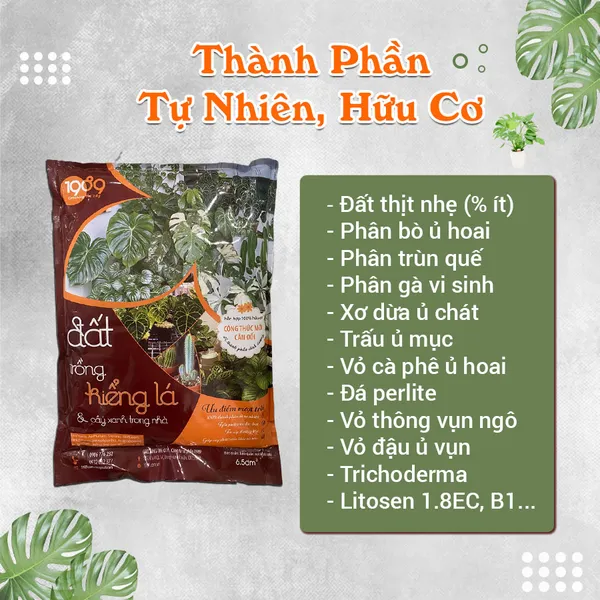 Đất Trồng Sen Đá