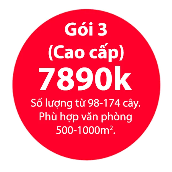 Gói Thuê Cây Văn Phòng Cao Cấp
