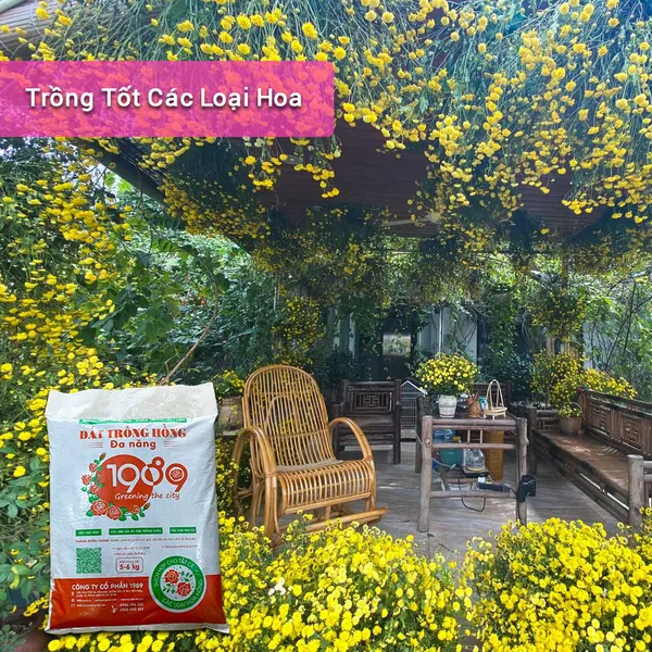 Đất Trồng Hoa Hồng 10Kg