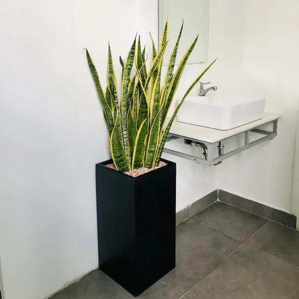 Chậu Đá Mài Trụ Vuông 30x60cm