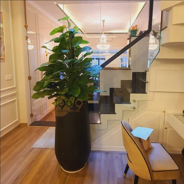 Chậu Đá Mài Tròn Lớn Hình Giọt Nước 44x100cm