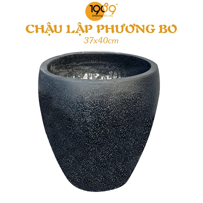 Chậu Đá Mài Chivas