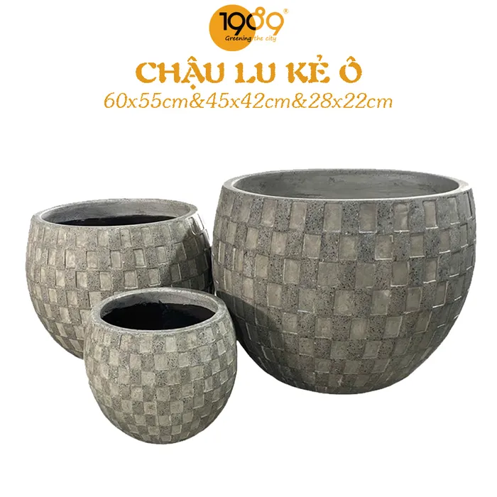 Chậu XM Lu Kẻ Ô
