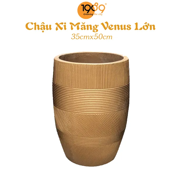 Chậu Xi Măng Venus 35x50cm