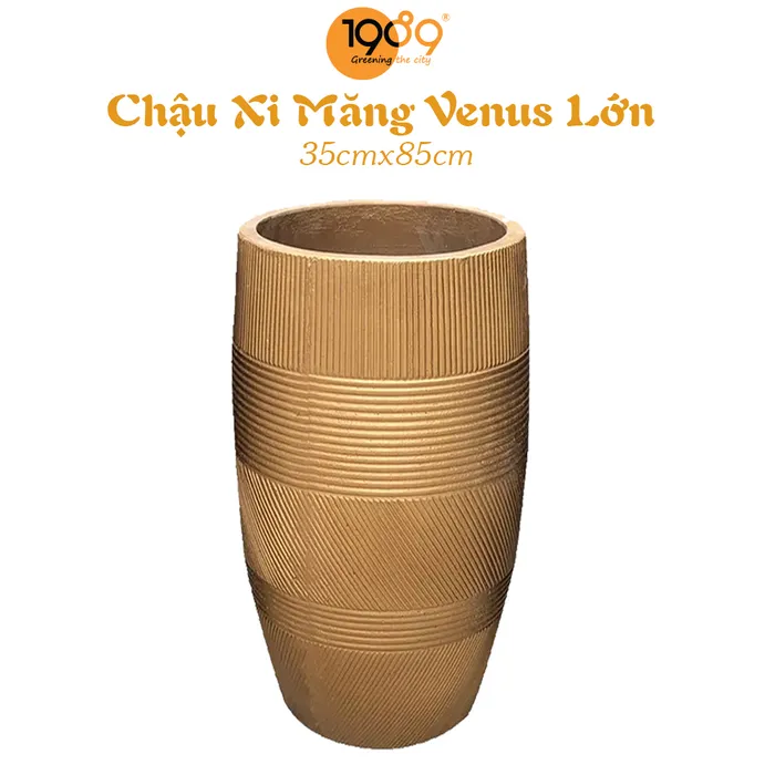 Chậu Xi Măng Venus Lớn 35x85cm