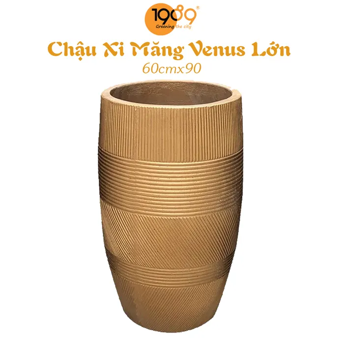 Chậu Xi Măng Venus Lớn 60x90cm