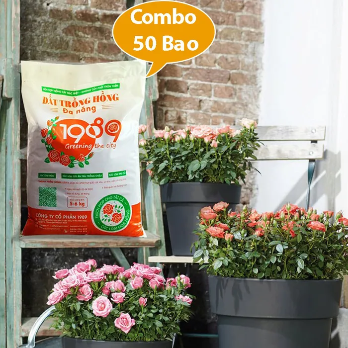 Combo 50 Bao  Đất Trồng Hoa Hồng