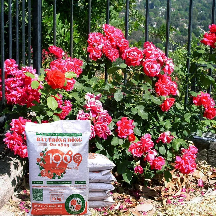 Đất Trồng Hoa Hồng 10Kg